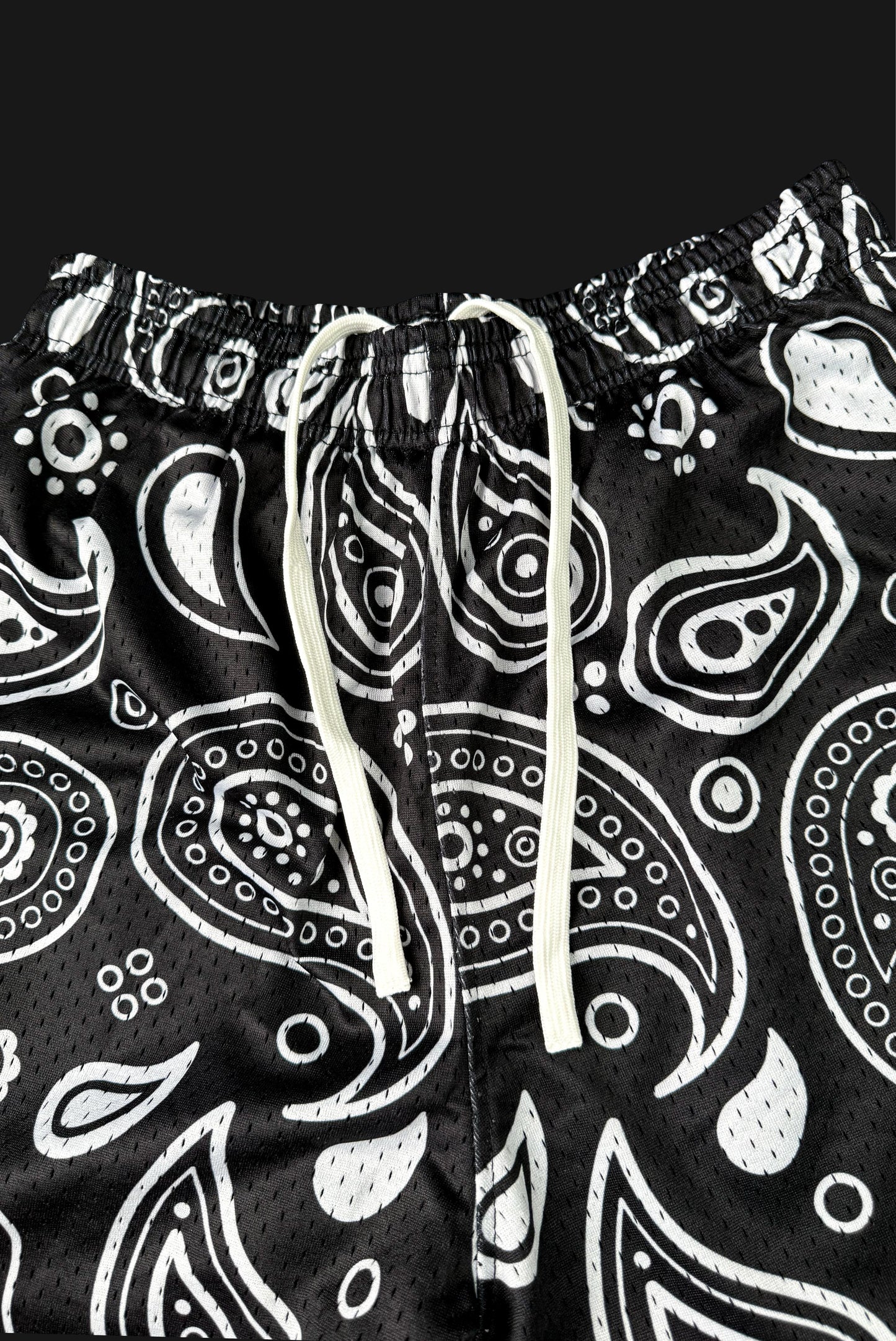 5” Paisley Print Mesh Shorts Phantom Black